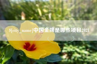 丽水中国金牌是哪些项目2021
