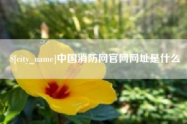 丽水中国消防网官网网址是什么
