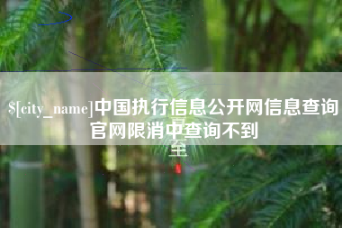 丽水中国执行信息公开网信息查询官网限消中查询不到