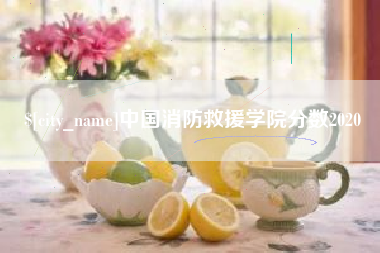 丽水中国消防救援学院分数2020