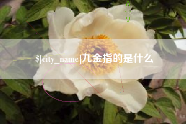 丽水九金指的是什么