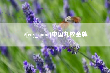 丽水中国九枚金牌