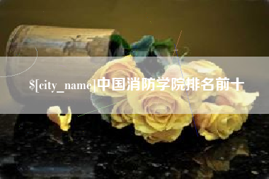 丽水中国消防学院排名前十