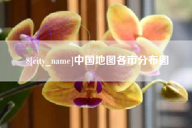 丽水中国地图各市分布图