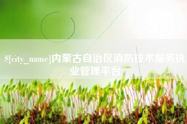 丽水内蒙古自治区消防技术服务执业管理平台