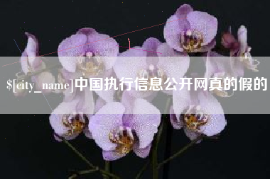 丽水中国执行信息公开网真的假的