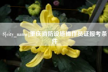丽水重庆消防设施操作员证报考条件