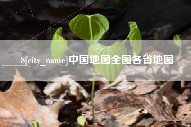 丽水中国地图全图各省地图