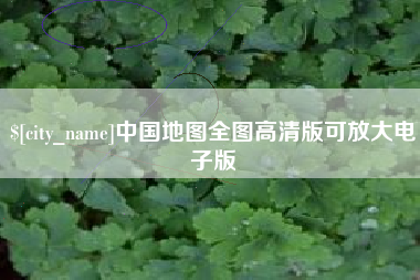 丽水中国地图全图高清版可放大电子版