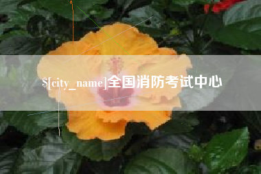 丽水全国消防考试中心