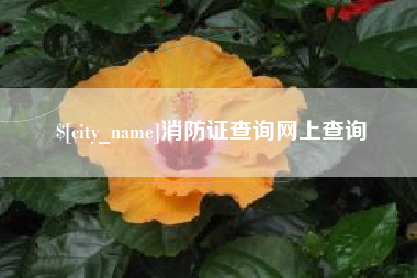 丽水消防证查询网上查询