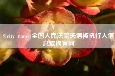 丽水全国人民法院失信被执行人信息查询官网