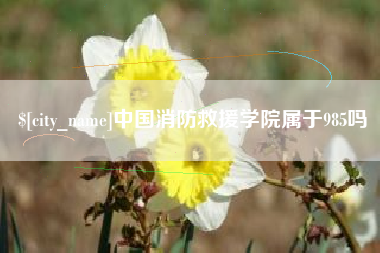 丽水中国消防救援学院属于985吗