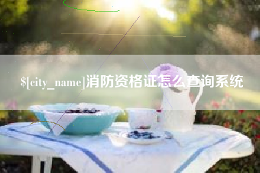 丽水消防资格证怎么查询系统