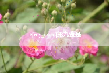 丽水第九金是