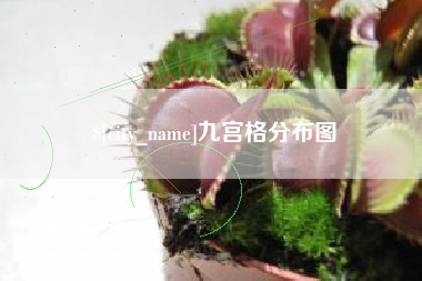 丽水九宫格分布图