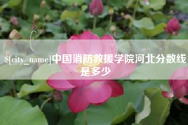 丽水中国消防救援学院河北分数线是多少