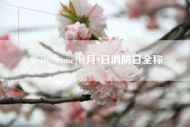 丽水11月9日消防日全称