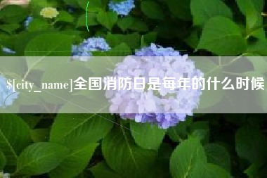 丽水全国消防日是每年的什么时候