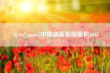 丽水中国最新版图面积1045