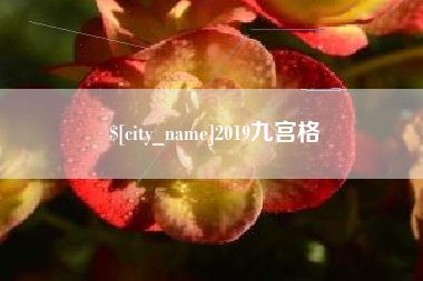 丽水2019九宫格
