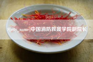 丽水中国消防救援学院副院长