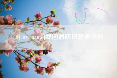 丽水我国消防日是多少日