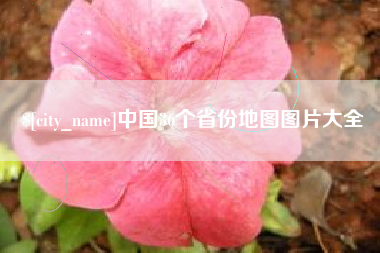 丽水中国36个省份地图图片大全