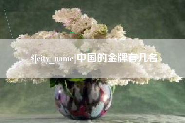 丽水中国的金牌有几名