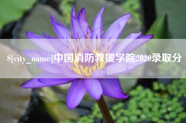 丽水中国消防救援学院2020录取分