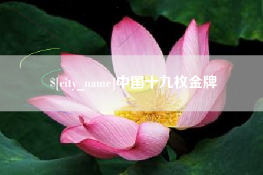 丽水中国十九枚金牌