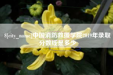 丽水中国消防救援学院2019年录取分数线是多少