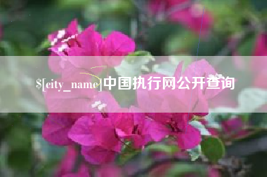 丽水中国执行网公开查询
