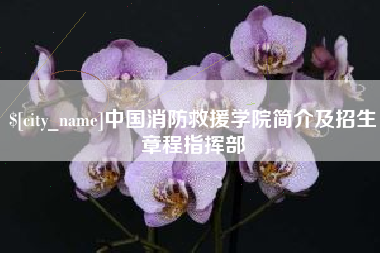 丽水中国消防救援学院简介及招生章程指挥部