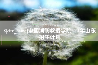 丽水中国消防救援学院2021年山东招生计划