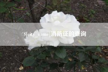丽水消防证的查询