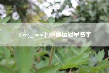 丽水2024奥运冠军名字