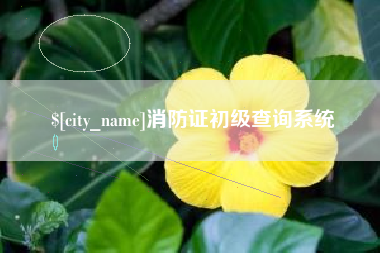 丽水消防证初级查询系统