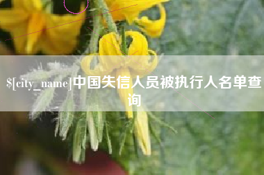 丽水中国失信人员被执行人名单查询