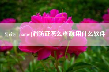 丽水消防证怎么查询,用什么软件