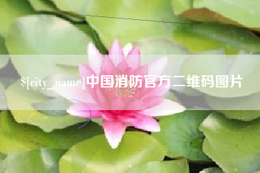 丽水中国消防官方二维码图片