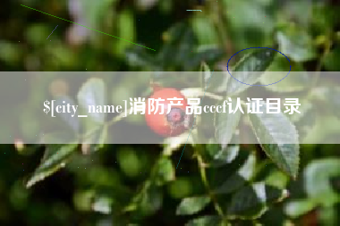 丽水消防产品cccf认证目录