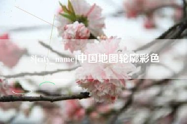 丽水中国地图轮廓彩色