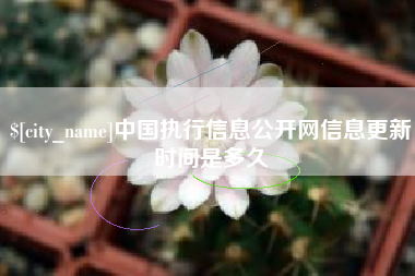 丽水中国执行信息公开网信息更新时间是多久