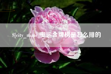 丽水奥运金牌榜是怎么排的