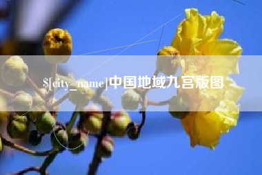 丽水中国地域九宫版图