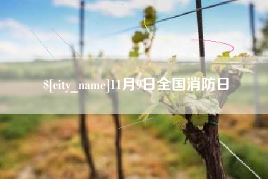 丽水11月9日全国消防日