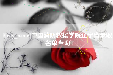 丽水中国消防救援学院辽宁省录取名单查询