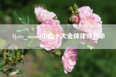 丽水中国十大金牌律师名单