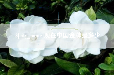 丽水现在中国金牌是多少